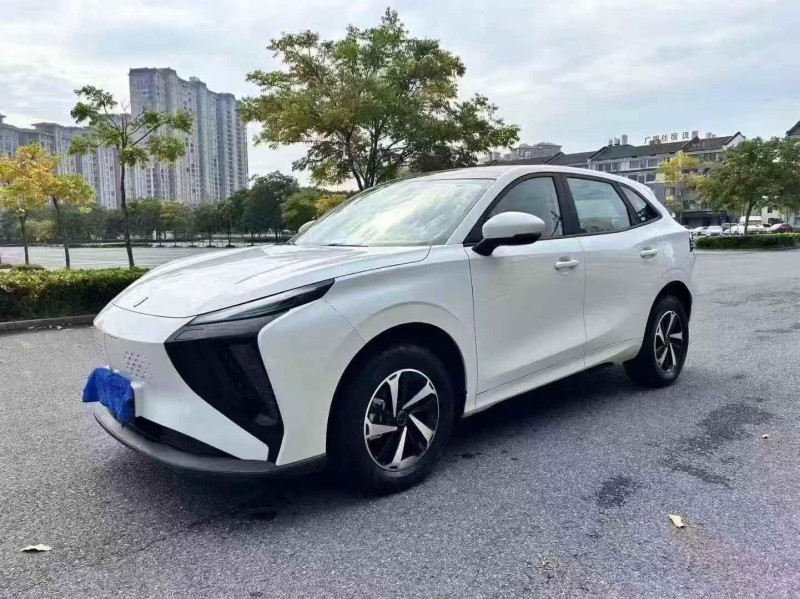 温州24年东风风行3