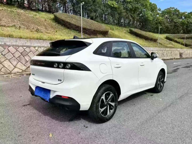 温州24年东风风行5