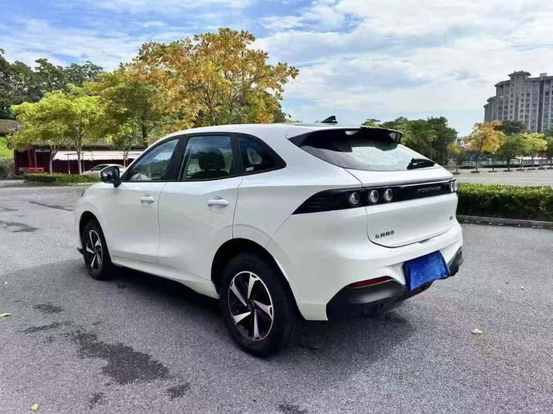 温州24年东风风行6