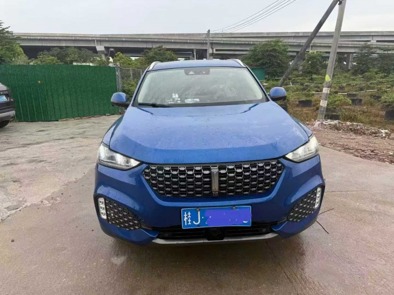 中山20年长城汽车WEY1