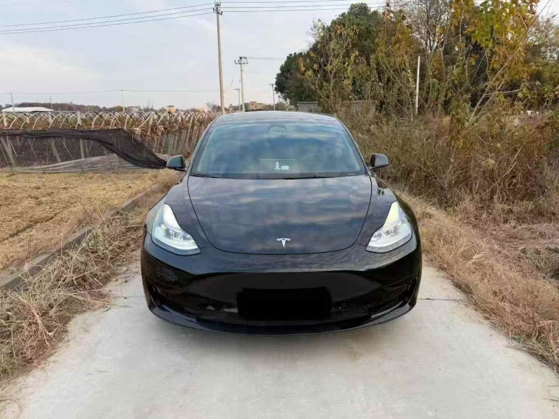 嘉兴24年特斯拉MODEL 31