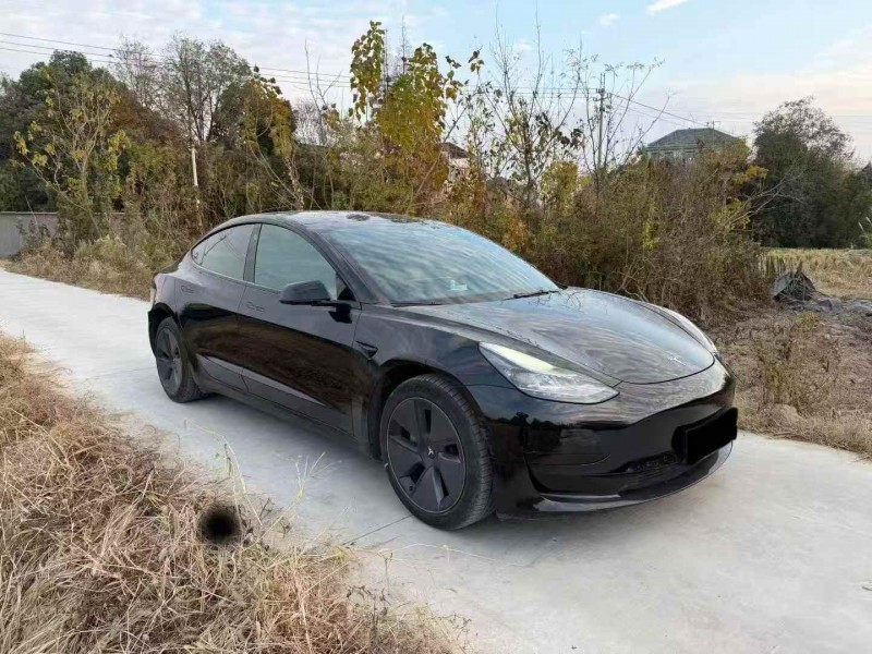 嘉兴24年特斯拉MODEL 33