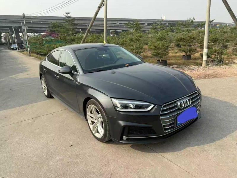 中山18年奥迪A52