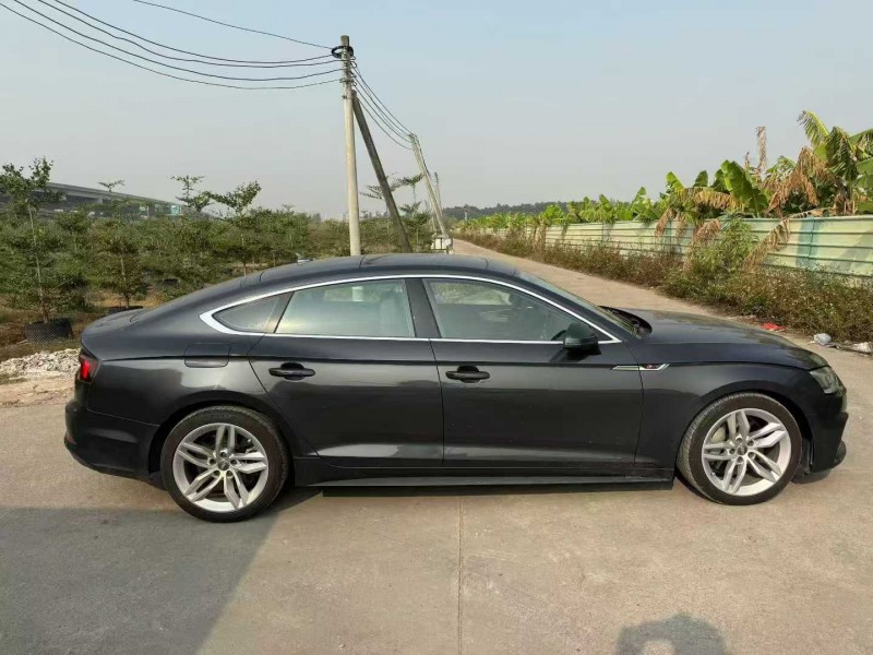 中山18年奥迪A53