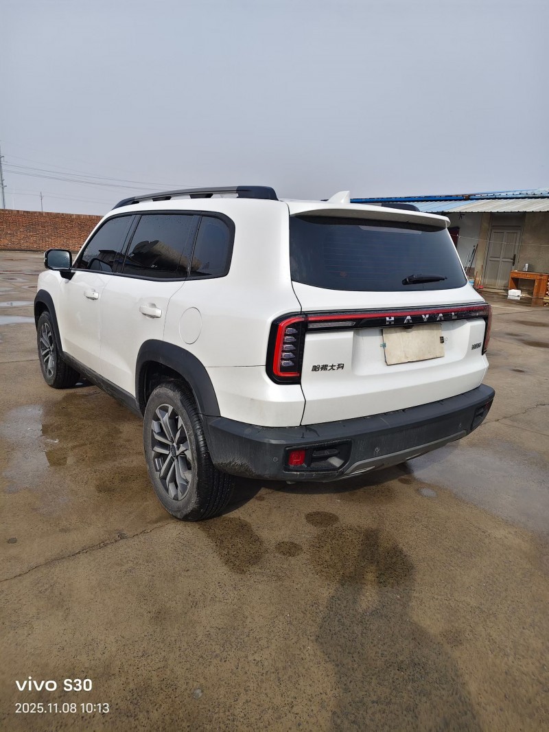 焦作24年哈弗大狗6