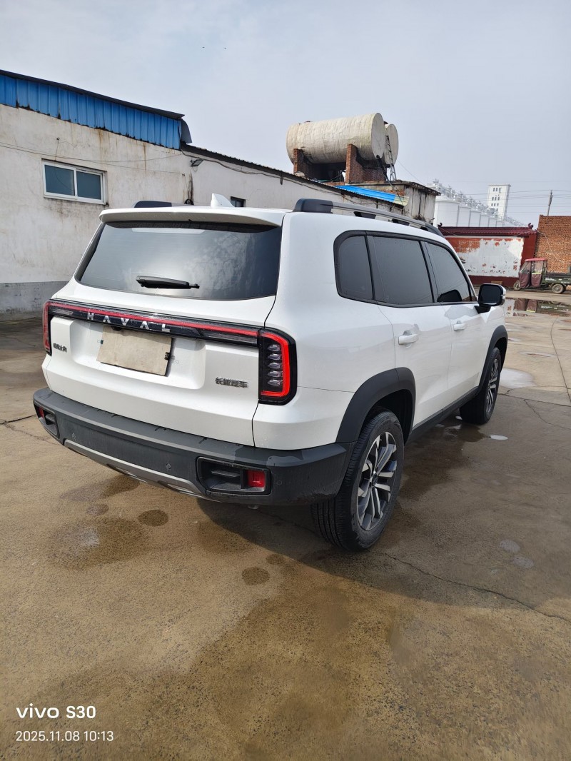 焦作24年哈弗大狗9