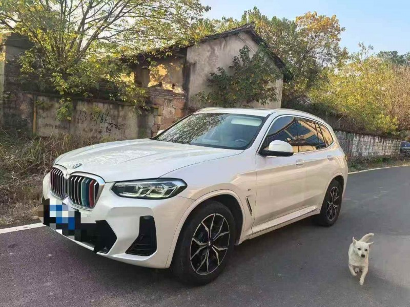 萍乡23年宝马X32