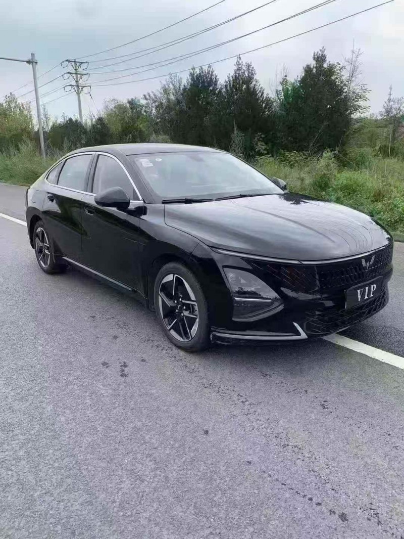 秦皇岛24年五菱汽车星光2