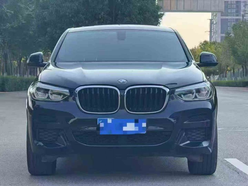 保山20年宝马X41