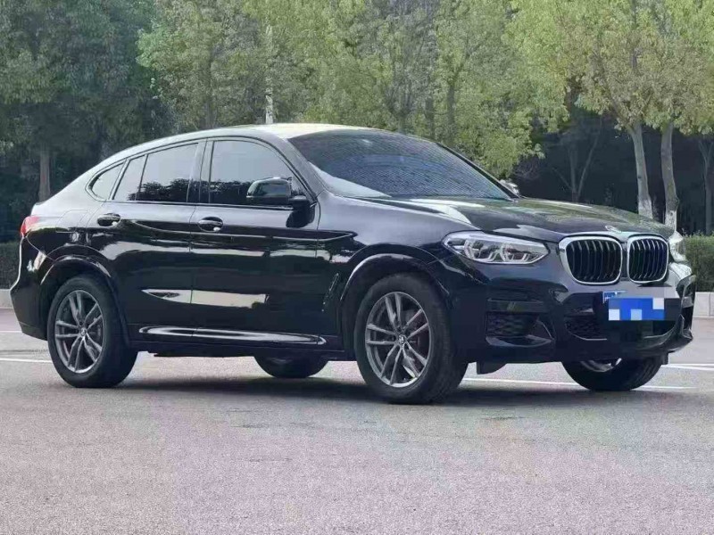 保山20年宝马X42
