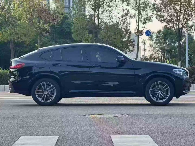 保山20年宝马X43