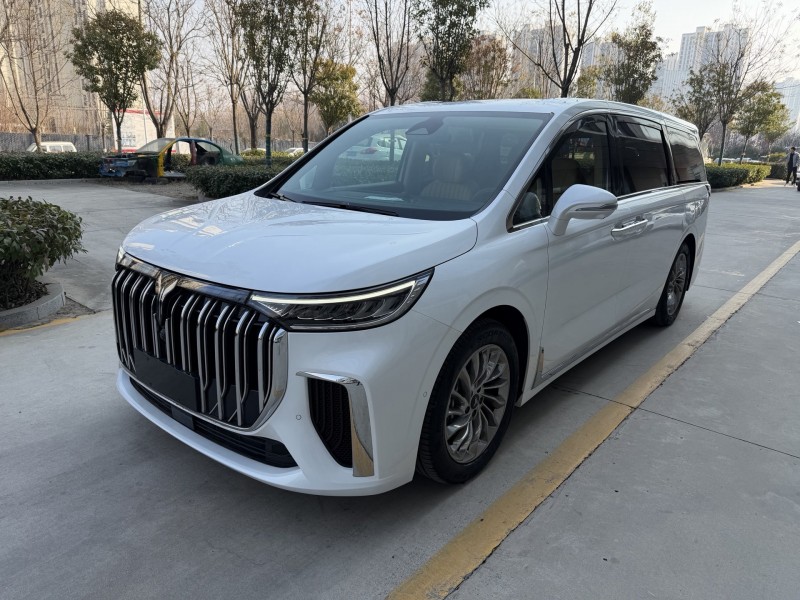 济宁25年岚图汽车梦想家2