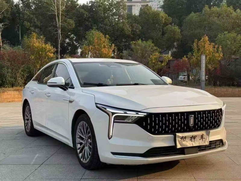 新余21年奔腾B703