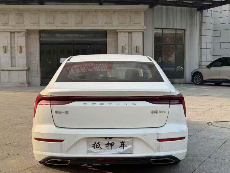 新余21年奔腾B709