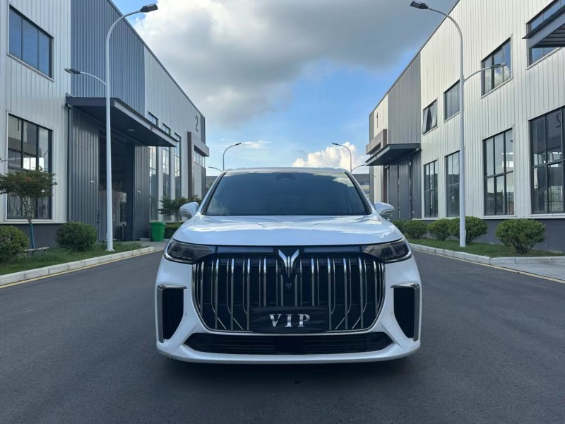 徐州23年岚图汽车梦想家1