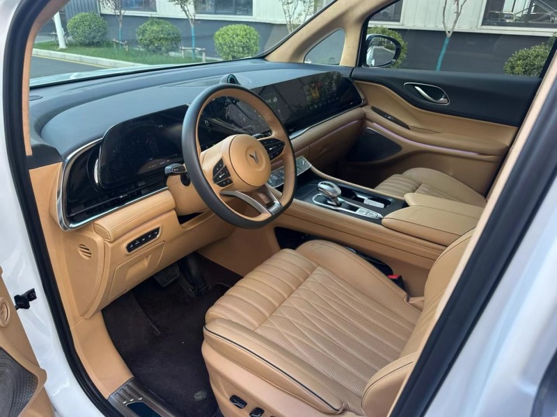 徐州23年岚图汽车梦想家5