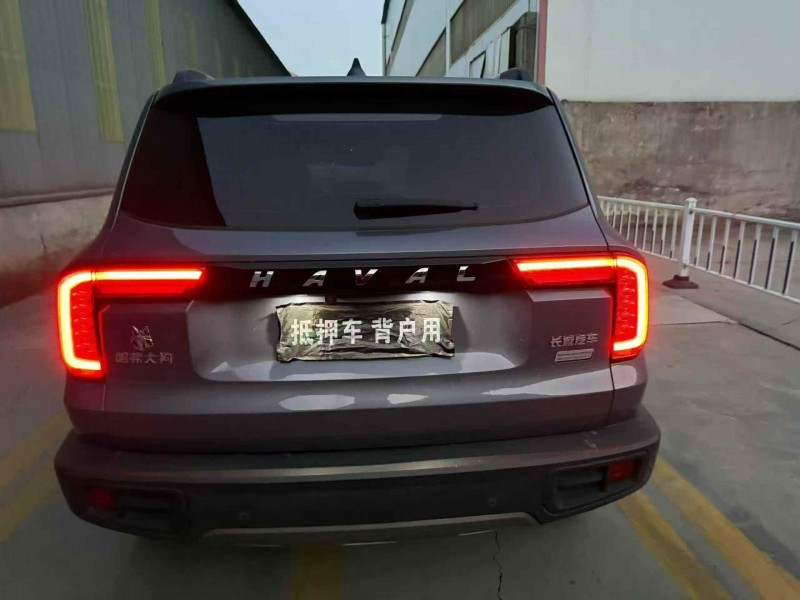 秦皇岛23年哈弗大狗9