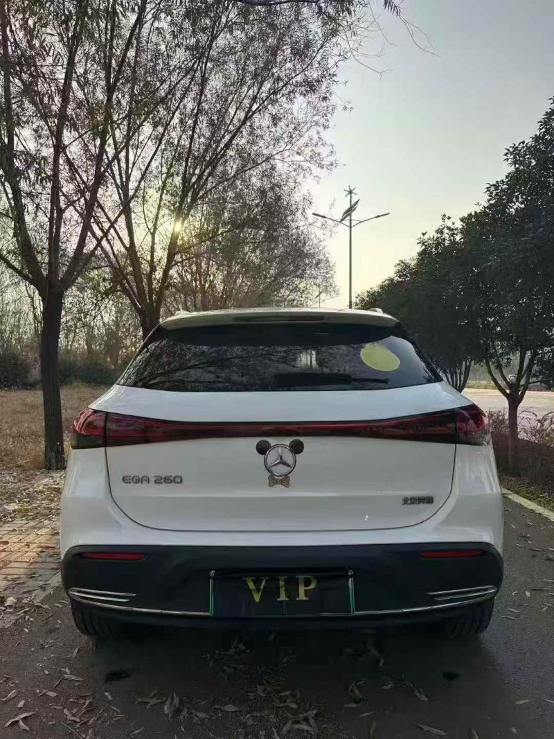 东营22年奔驰EQA9