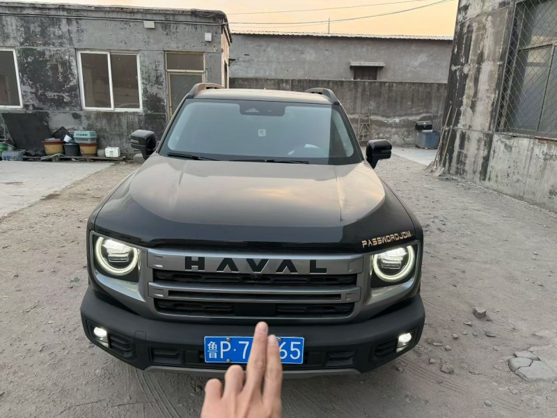 聊城24年哈弗大狗1