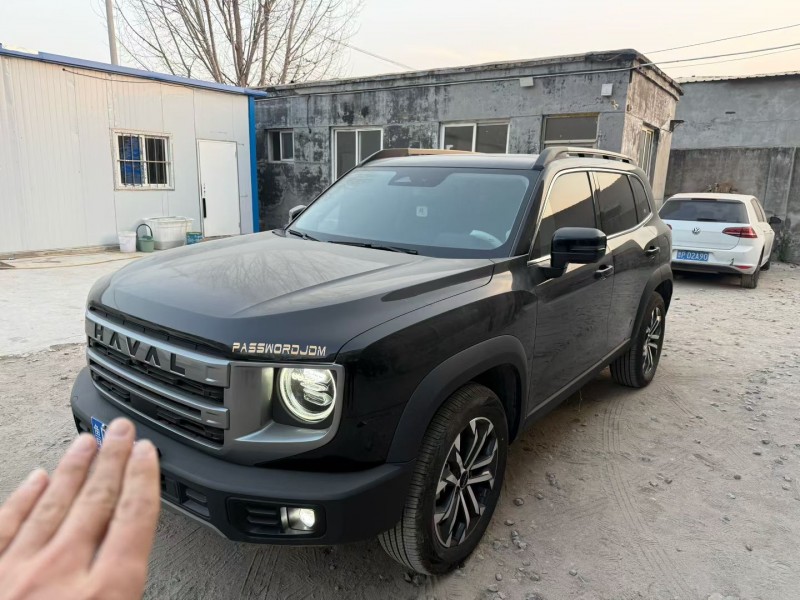 聊城24年哈弗大狗2