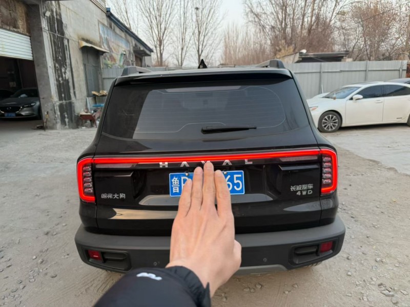 聊城24年哈弗大狗6