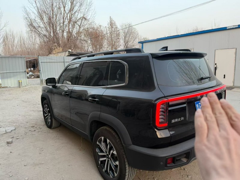 聊城24年哈弗大狗7