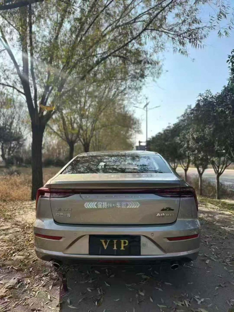 淄博24年奔腾B709