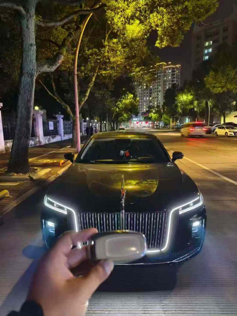 宁波23年红旗H91