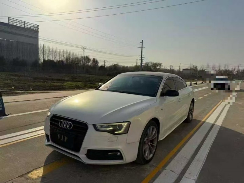 菏泽13年奥迪A52