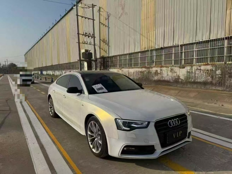 菏泽13年奥迪A53