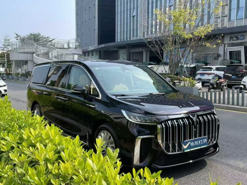 深圳24年岚图汽车梦想家2