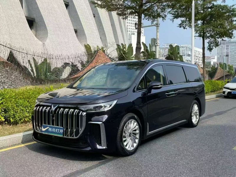 深圳24年岚图汽车梦想家3