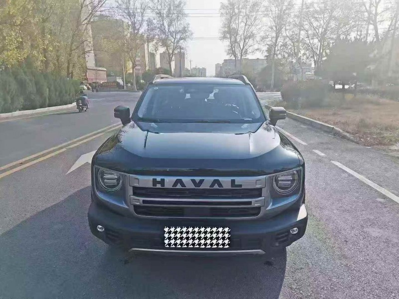 平顶山24年哈弗大狗1