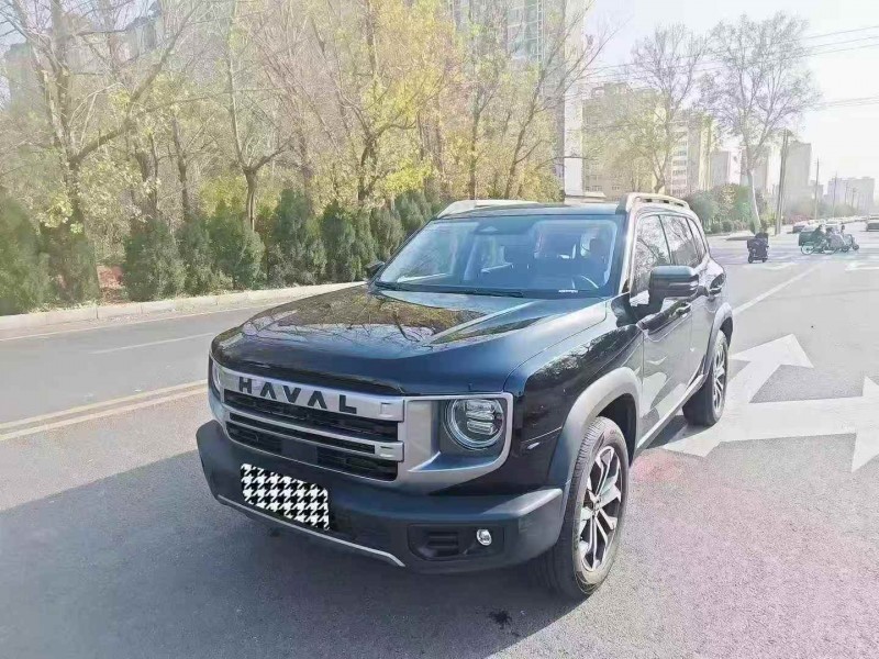 平顶山24年哈弗大狗2