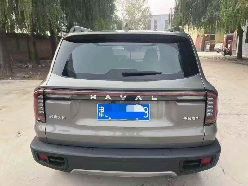 秦皇岛24年哈弗大狗9