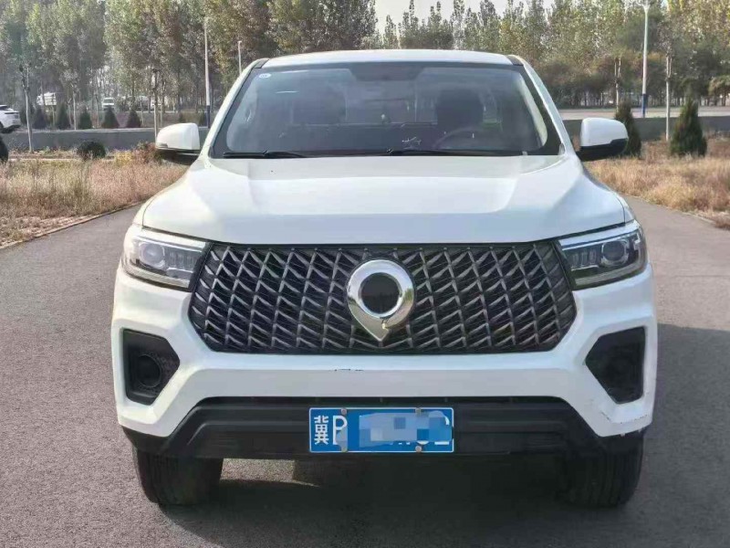 承德23年长城汽车炮 皮卡1