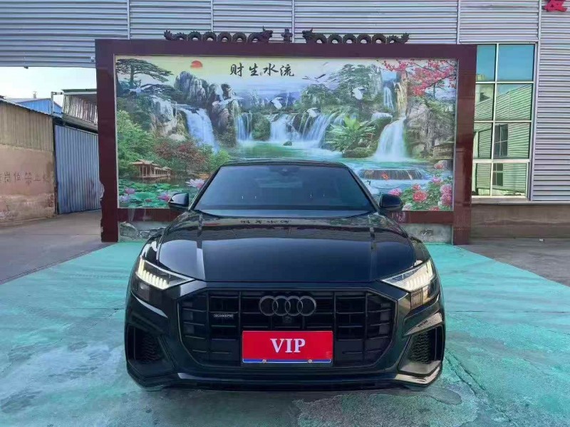 济南21年奥迪Q81