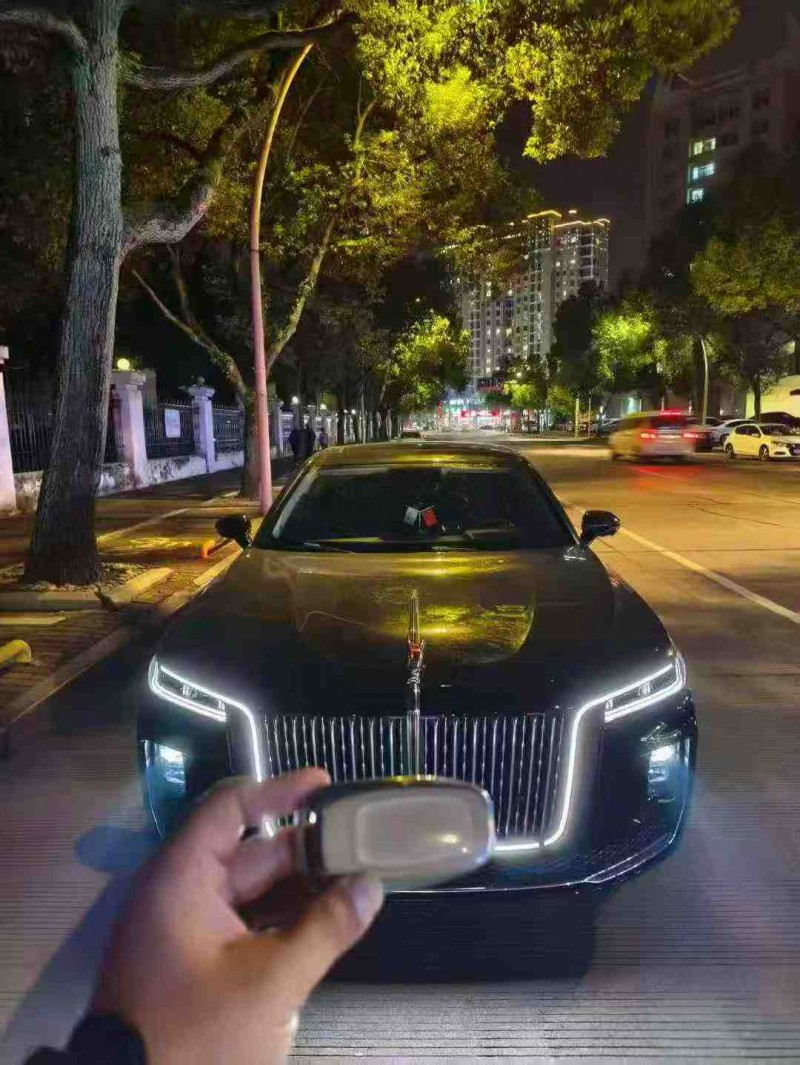 温州23年红旗H91