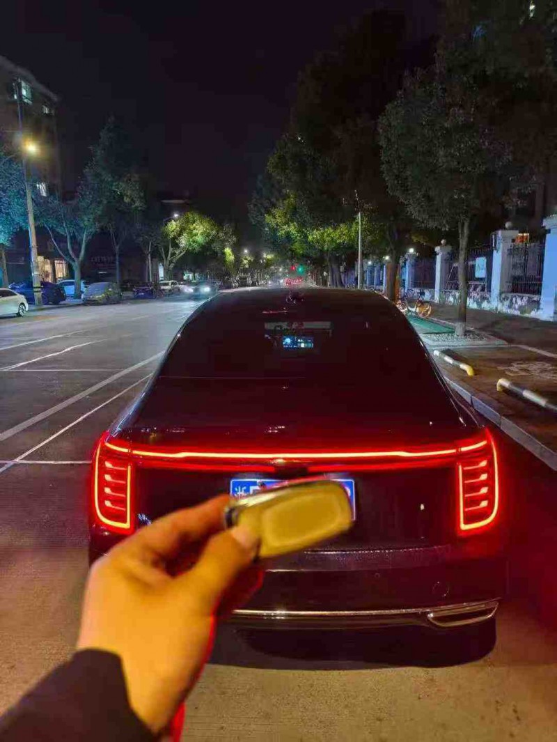 温州23年红旗H99