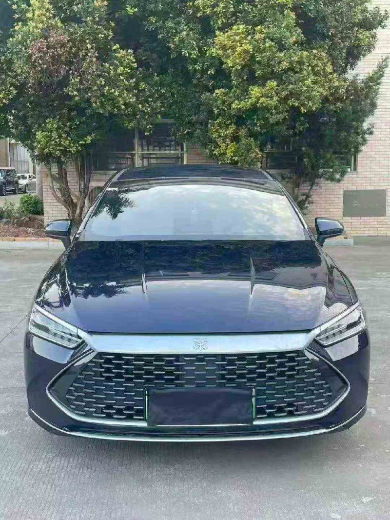 漳州24年比亚迪秦1