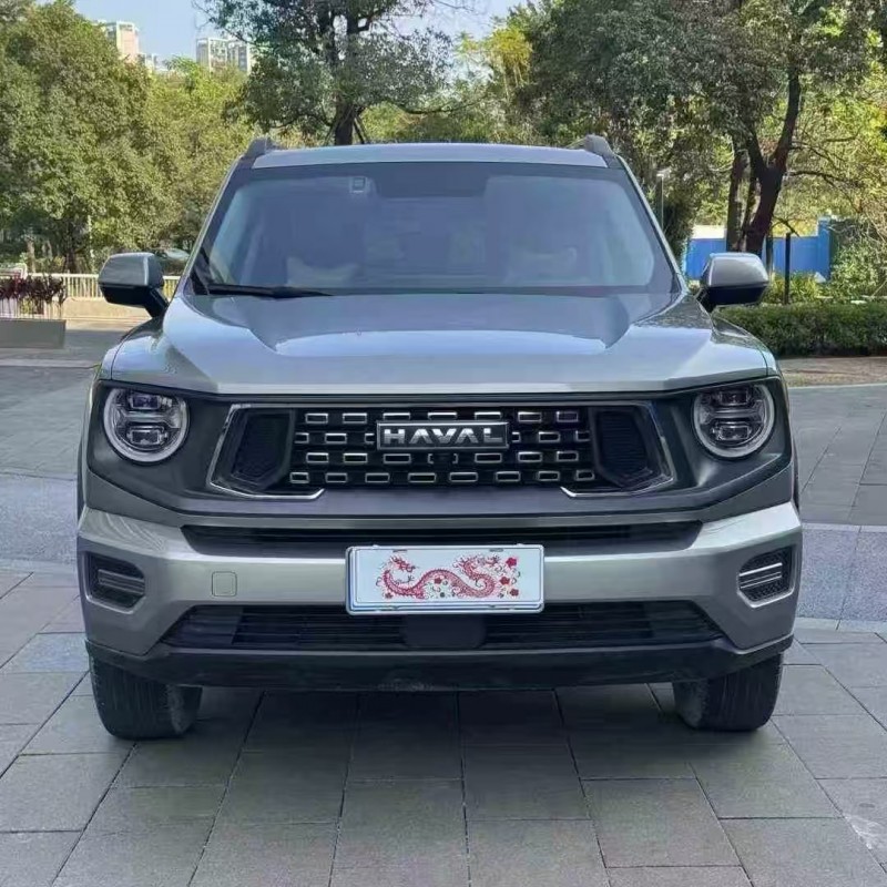 广州23年哈弗大狗1