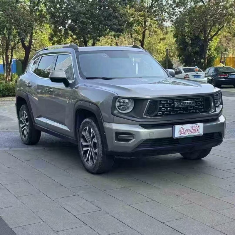 广州23年哈弗大狗2