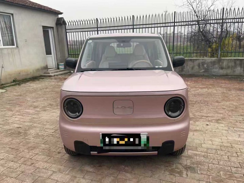 沧州24年吉利熊猫1