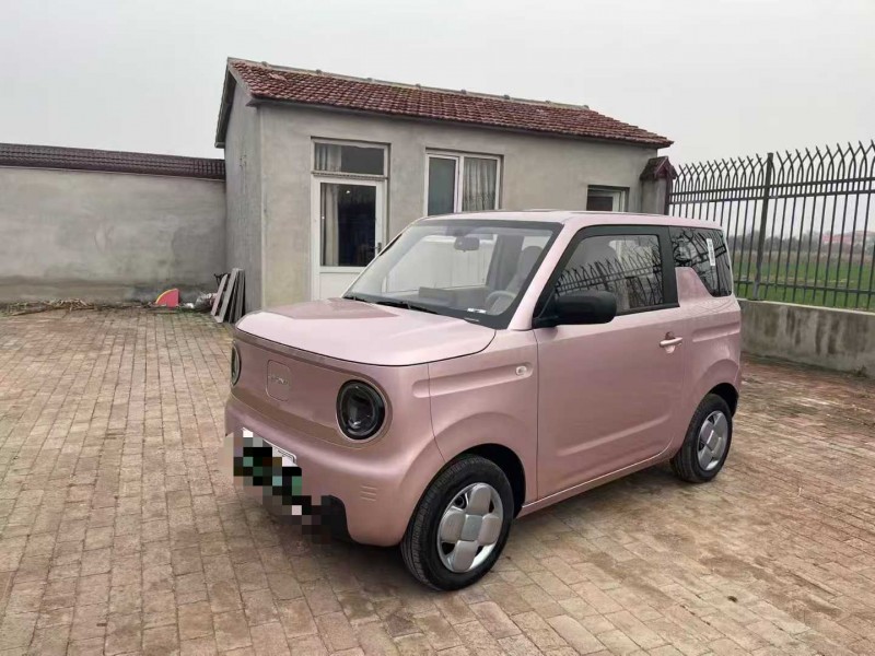 沧州24年吉利熊猫2