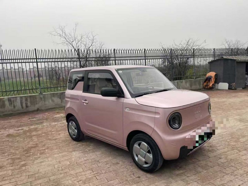 沧州24年吉利熊猫3