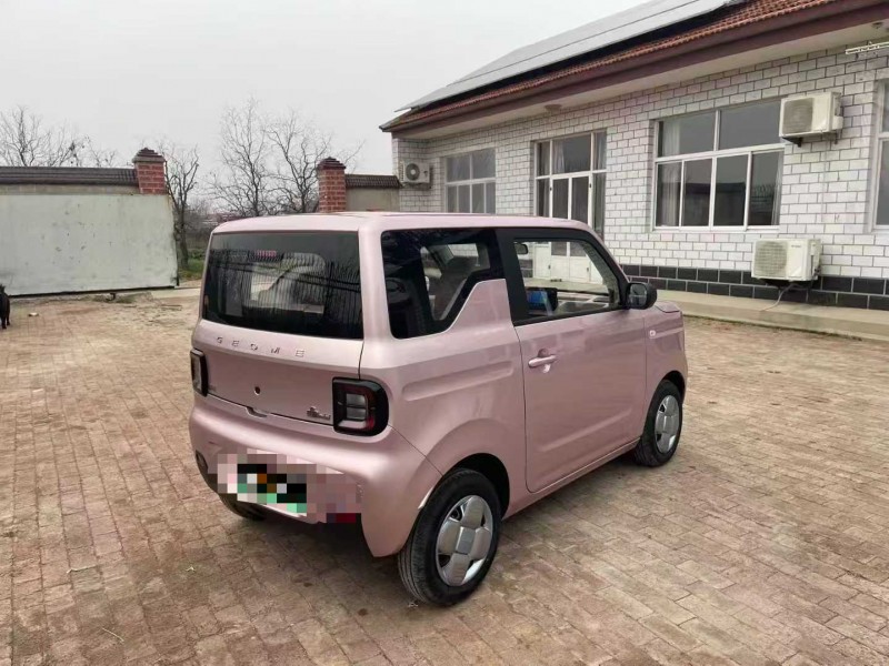 沧州24年吉利熊猫6