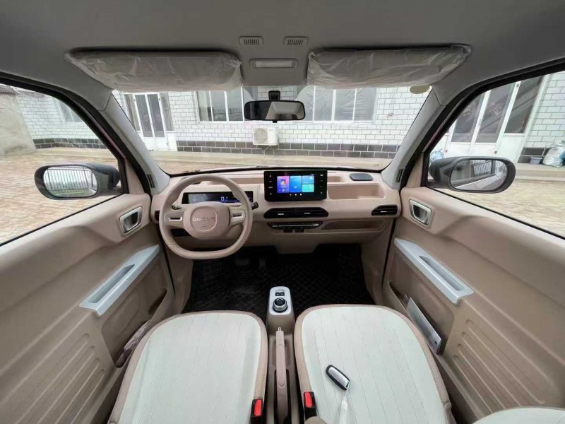 沧州24年吉利熊猫8