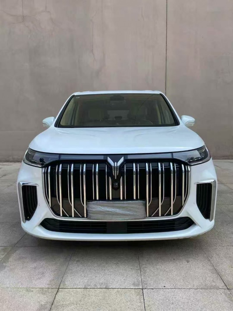 营口24年岚图汽车梦想家1