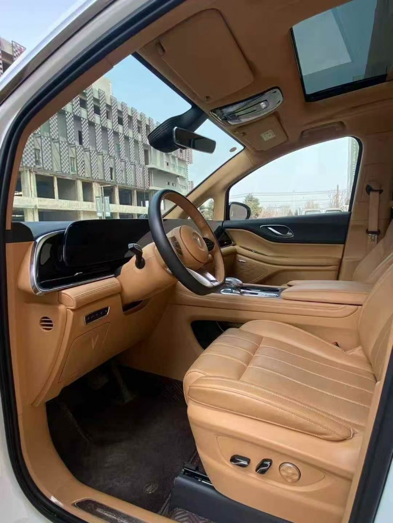 营口24年岚图汽车梦想家3