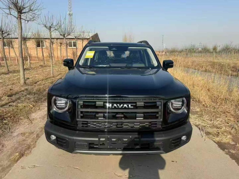 秦皇岛25年哈弗大狗1